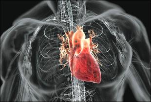 Choroby sercowo-naczyniowe
